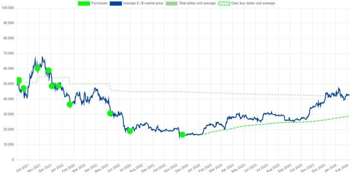 nayib bukele portfolio tracker